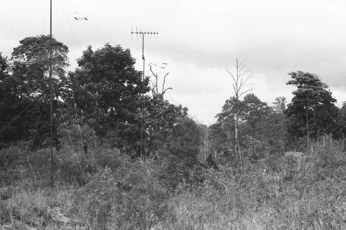  Antenna erected in the jungle on the Malay Peninsular. A number of tents and radio equipped Land Rovers are hidden in the surrounding foliage. Photo: Alan Pinder.